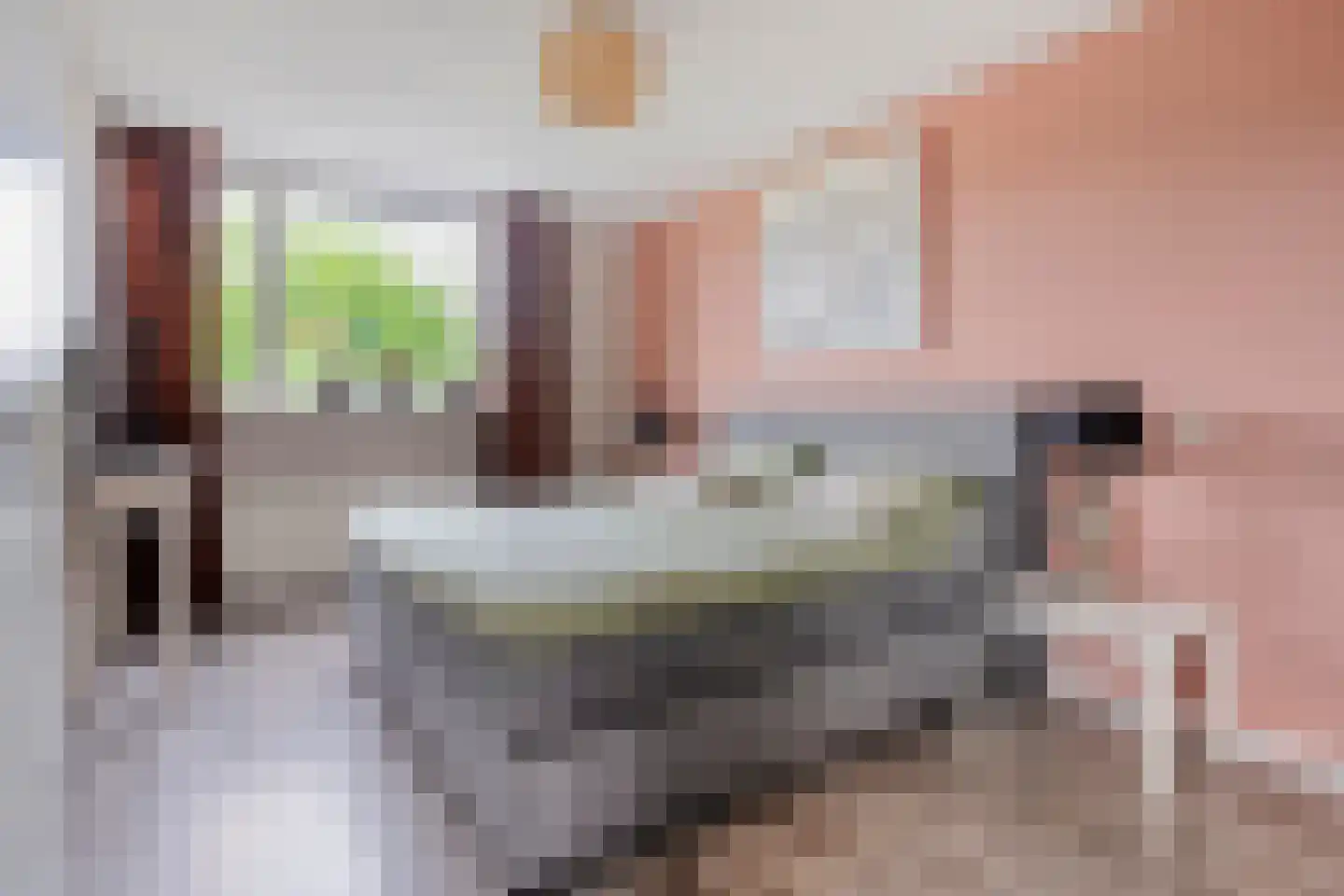 Anemoon 1 Nijverdal thumbnail 29