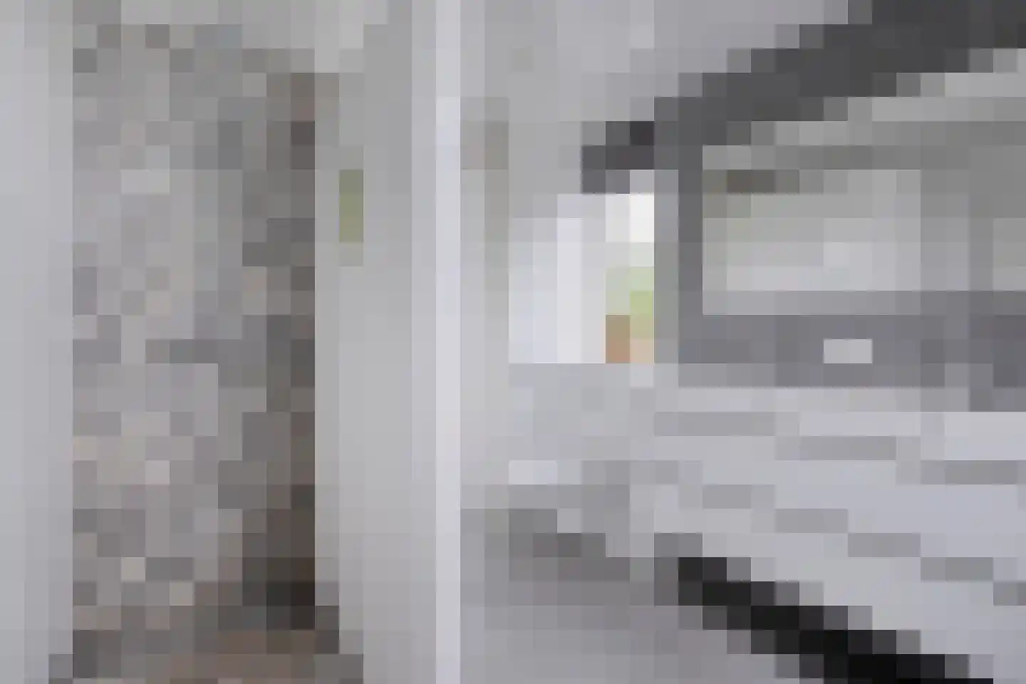 Anemoon 1 Nijverdal thumbnail 31