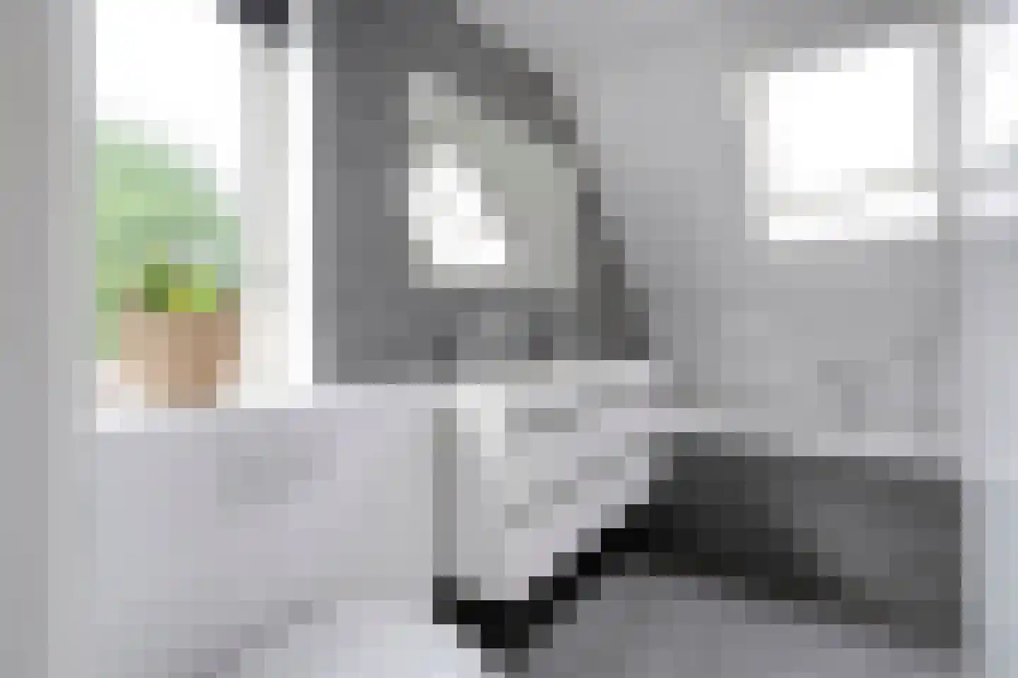 Anemoon 1 Nijverdal thumbnail 32