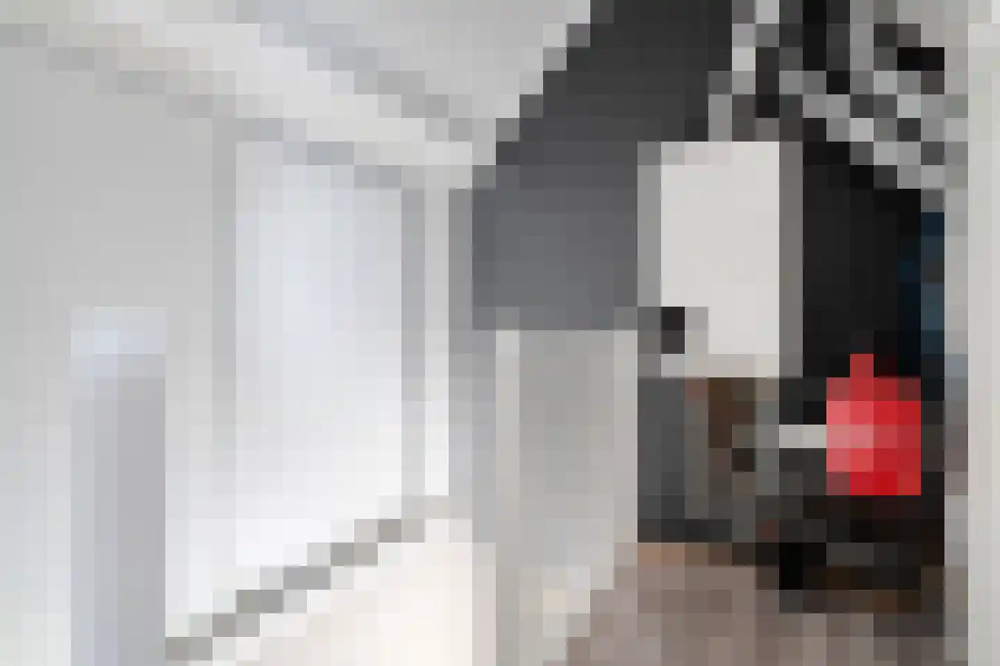 Anemoon 1 Nijverdal thumbnail 34
