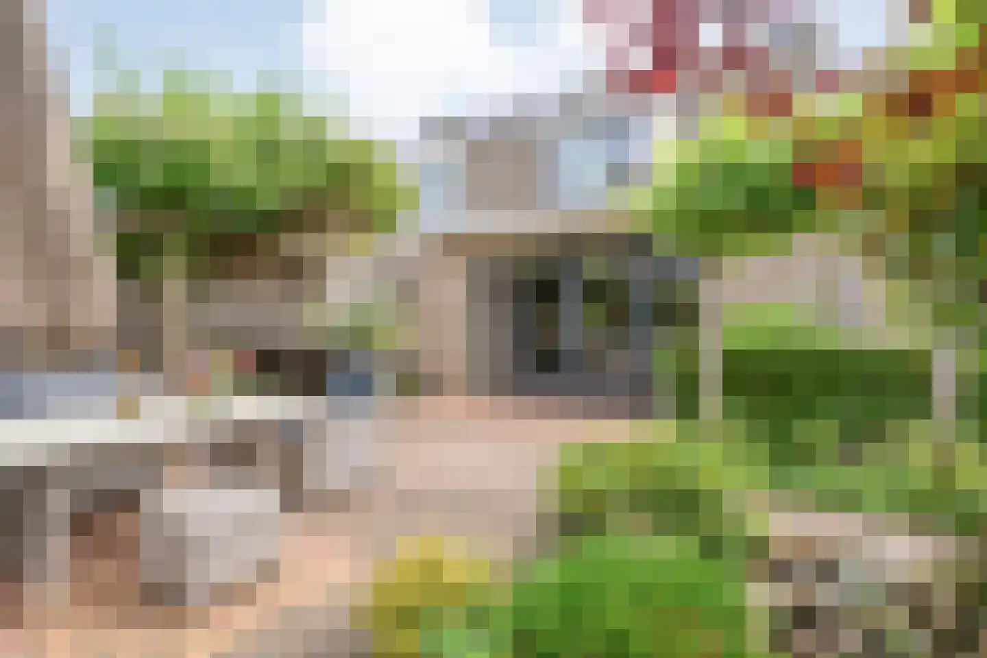 Anemoon 1 Nijverdal thumbnail 39