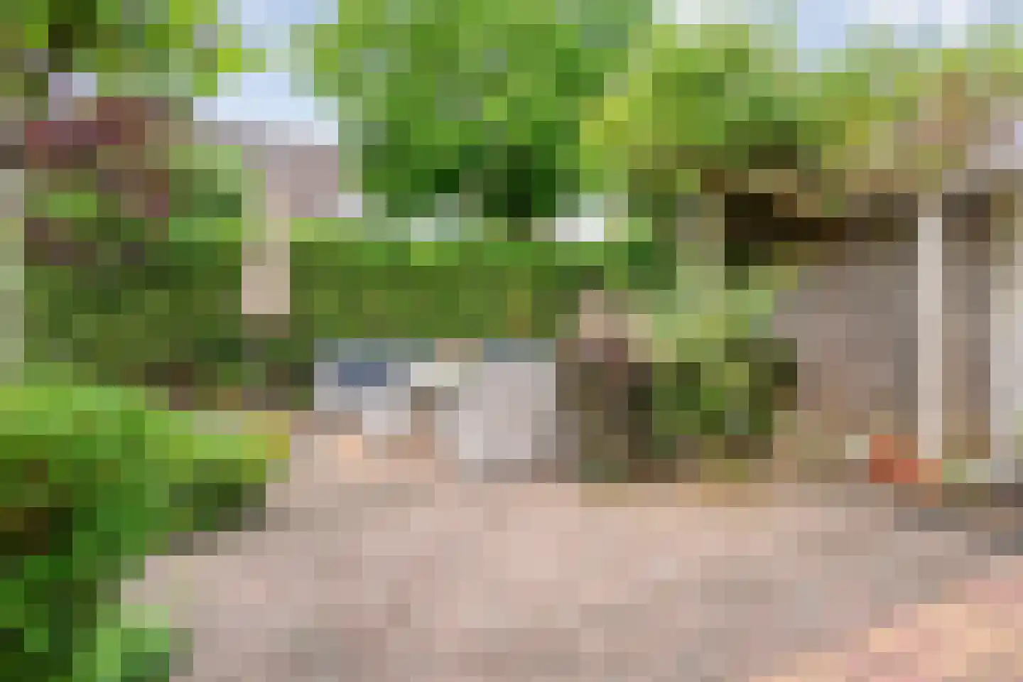 Anemoon 1 Nijverdal thumbnail 40