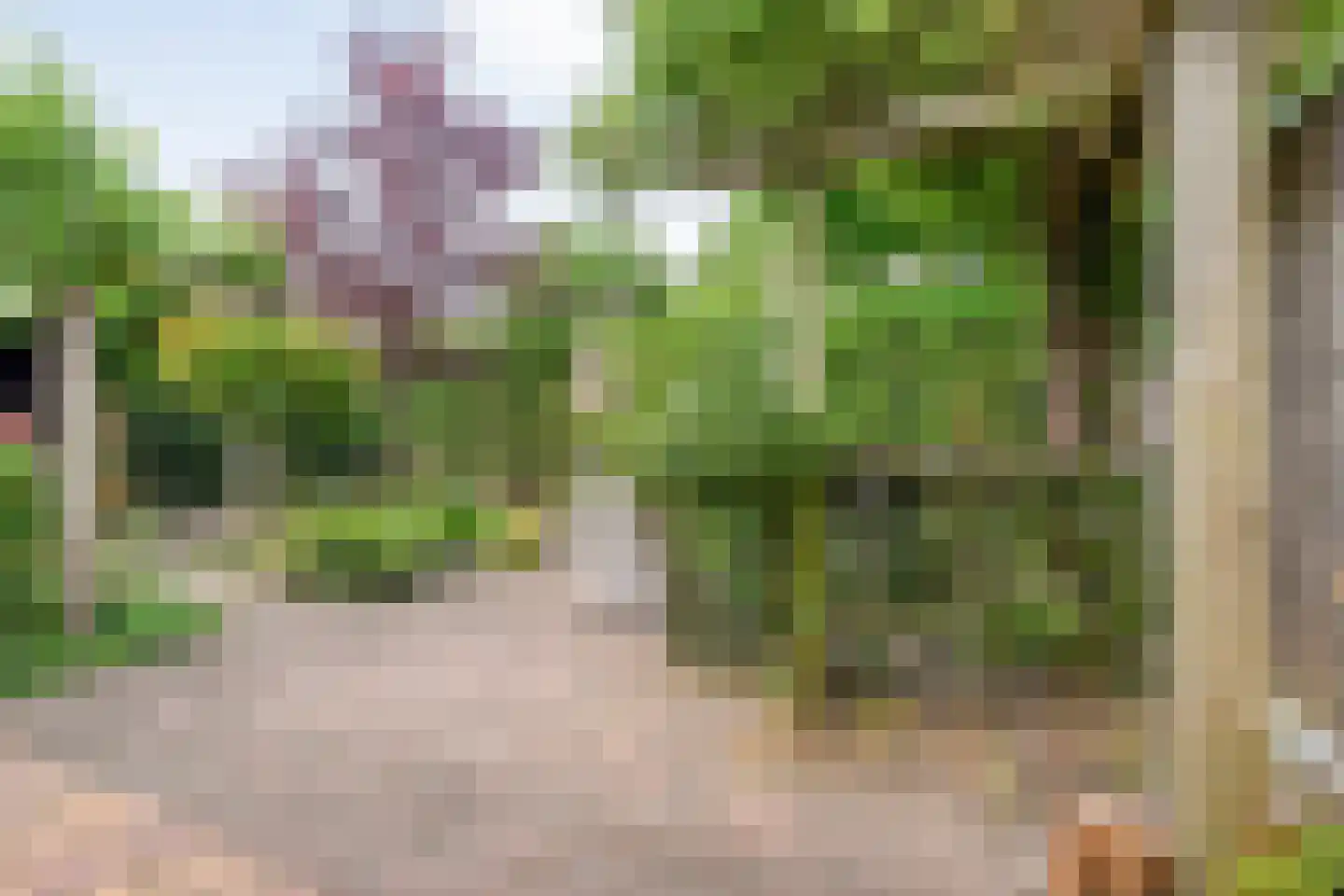 Anemoon 1 Nijverdal thumbnail 41