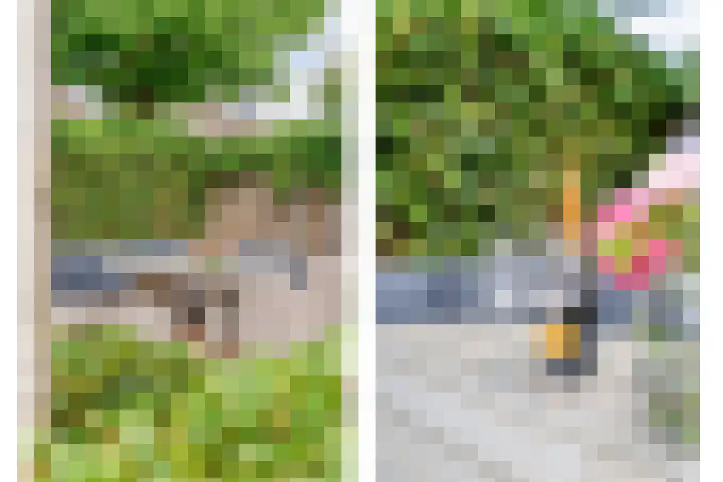 Anemoon 1 Nijverdal thumbnail 42