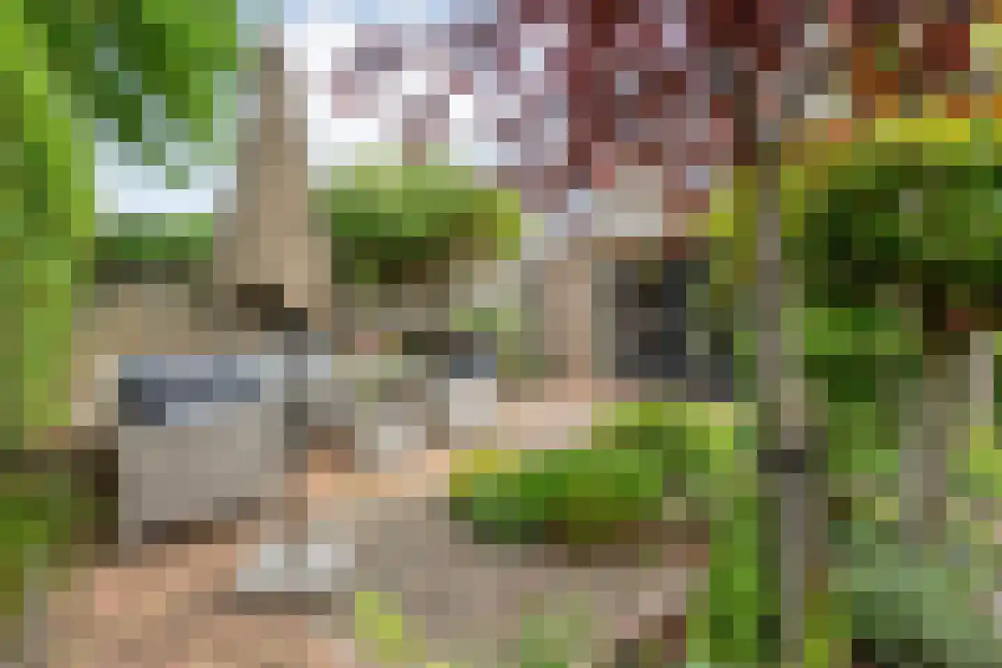 Anemoon 1 Nijverdal thumbnail 43