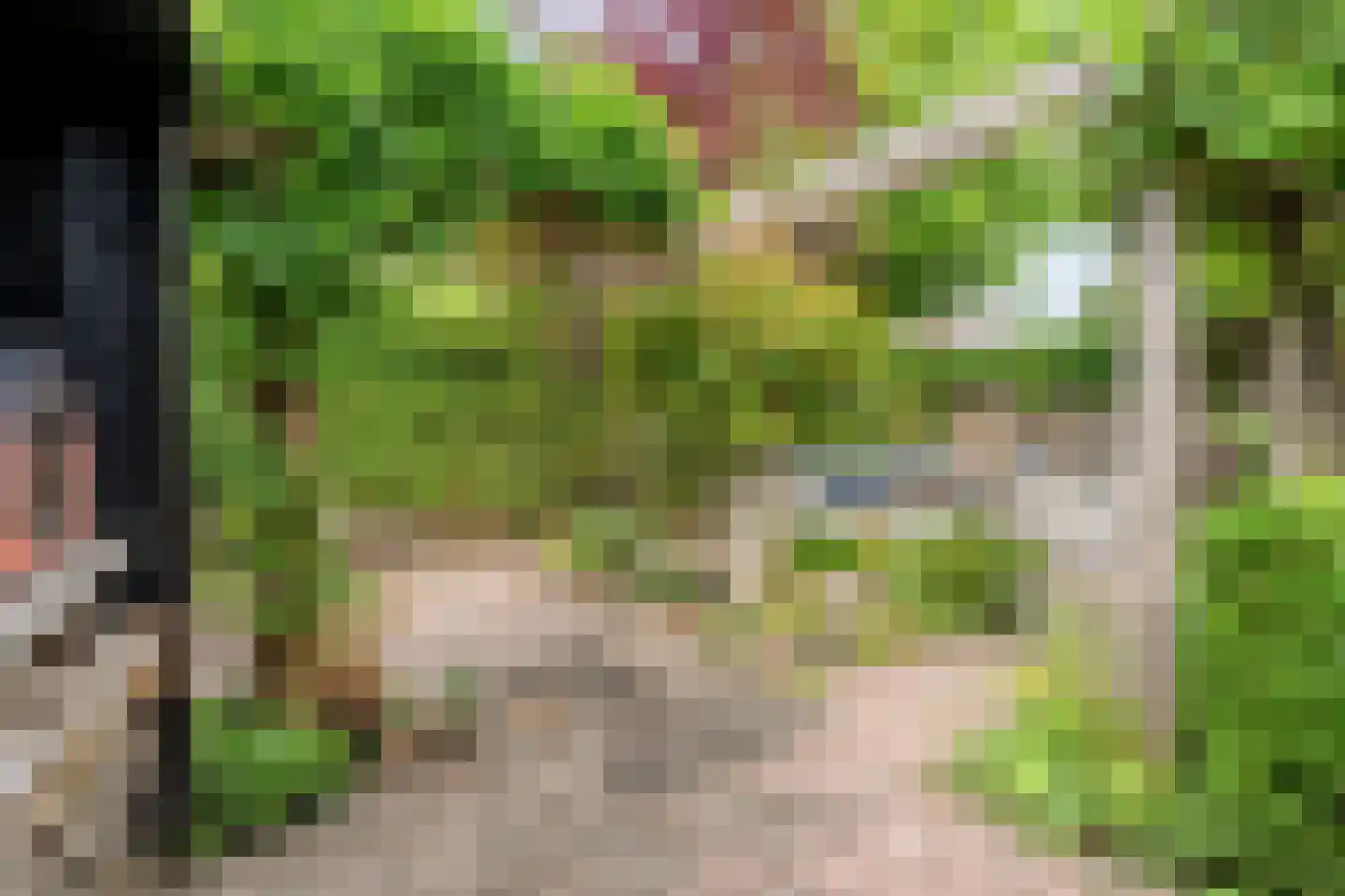 Anemoon 1 Nijverdal thumbnail 44