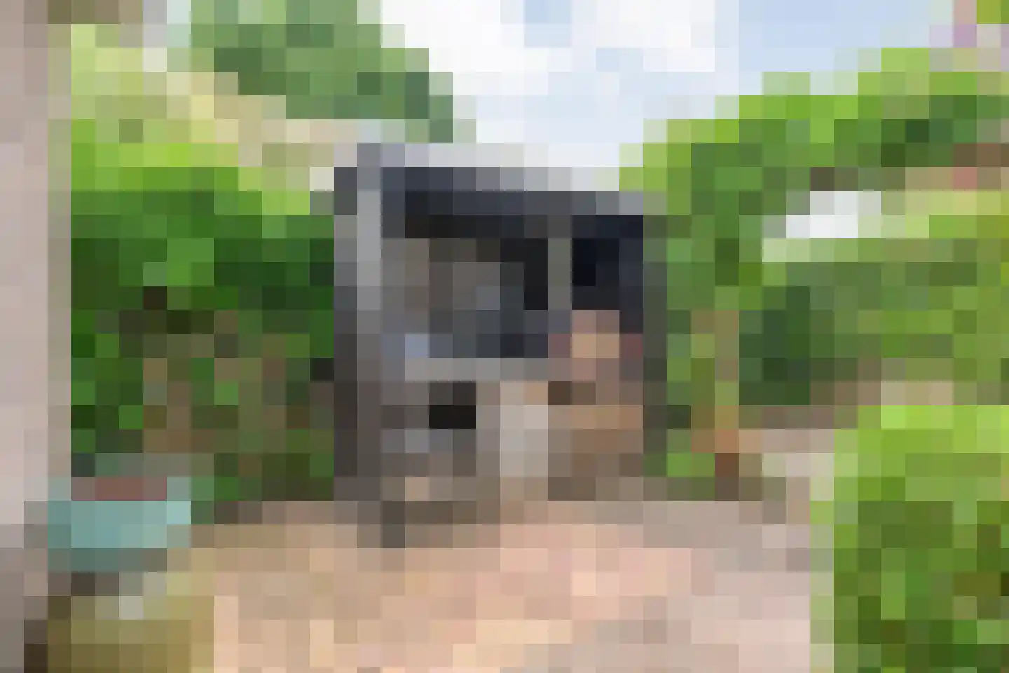 Anemoon 1 Nijverdal thumbnail 45