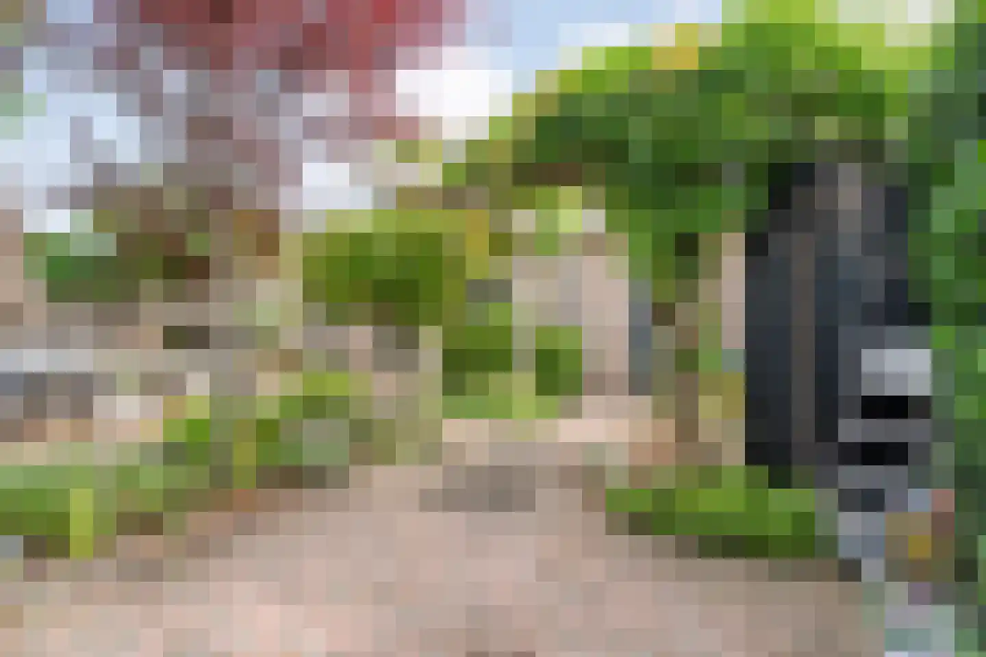 Anemoon 1 Nijverdal thumbnail 46