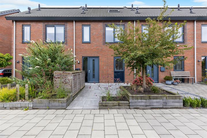 Anemoon 11 en Ens foto