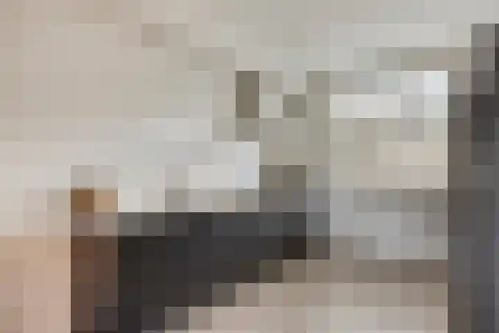 Anemoon 13 Krimpen aan den IJssel thumbnail 11