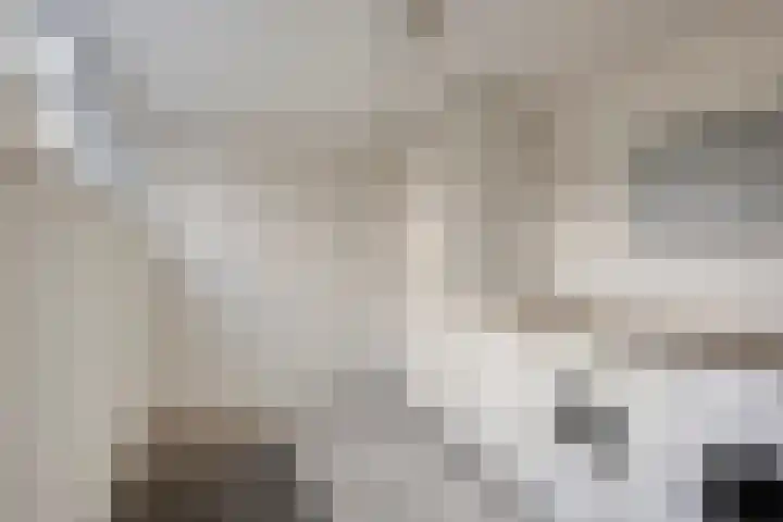 Anemoon 13 Krimpen aan den IJssel thumbnail 20