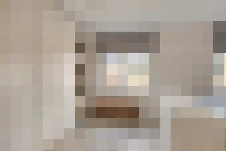 Anemoon 13 Krimpen aan den IJssel thumbnail 21