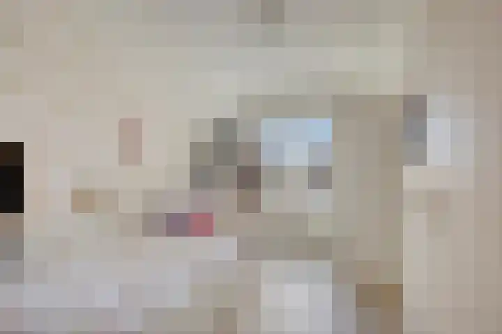 Anemoon 13 Krimpen aan den IJssel thumbnail 25