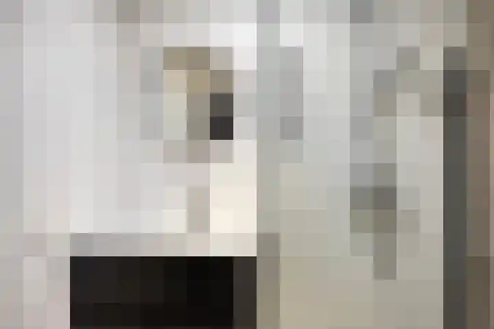 Anemoon 13 Krimpen aan den IJssel thumbnail 30