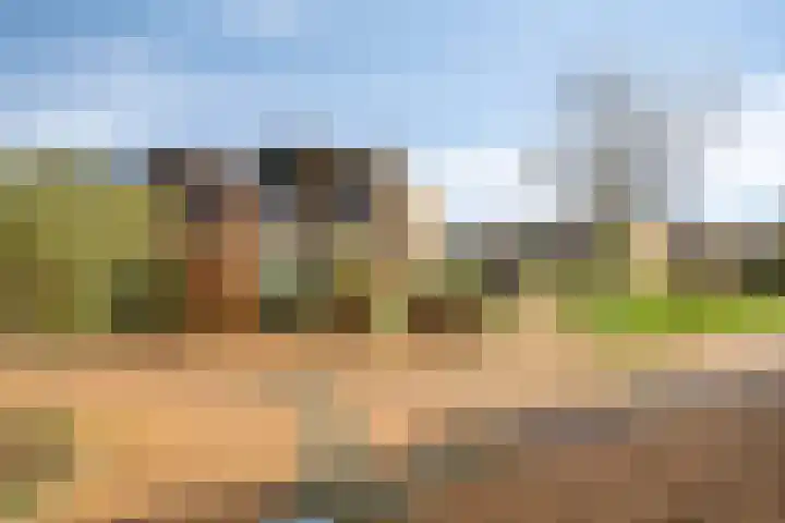 Anemoon 13 Krimpen aan den IJssel thumbnail 34