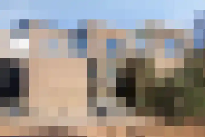 Anemoon 13 Krimpen aan den IJssel thumbnail 45