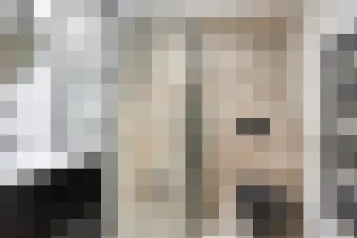 Anemoon 13 Krimpen aan den IJssel thumbnail 5