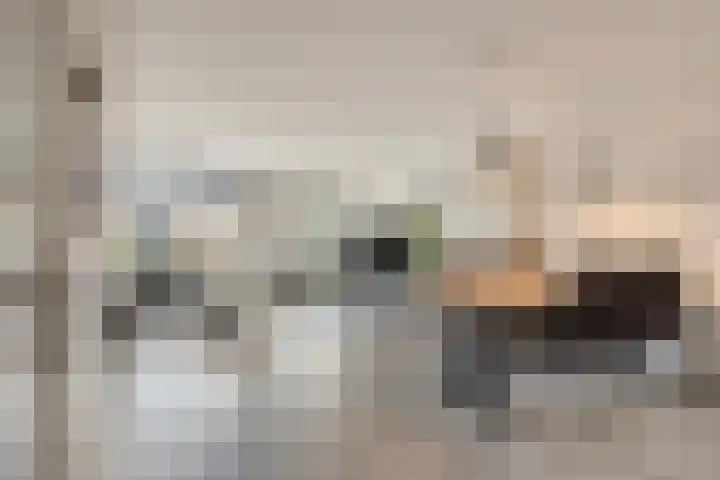 Anemoon 13 Krimpen aan den IJssel thumbnail 6