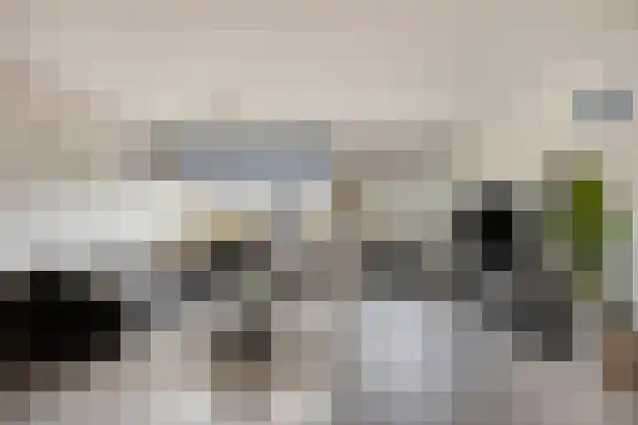 Anemoon 13 Krimpen aan den IJssel thumbnail 7