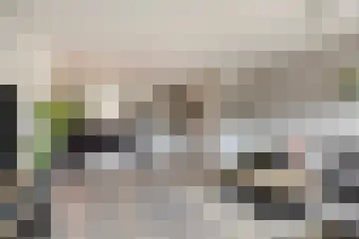 Anemoon 13 Krimpen aan den IJssel thumbnail 8