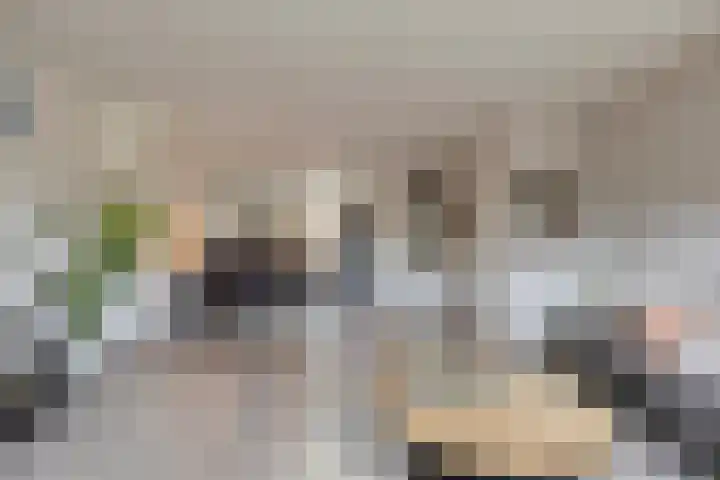 Anemoon 13 Krimpen aan den IJssel thumbnail 9