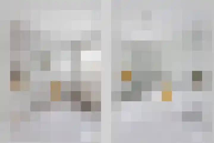 Anemoon 16 Nijverdal thumbnail 11