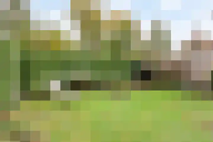 Anemoon 16 Nijverdal thumbnail 13