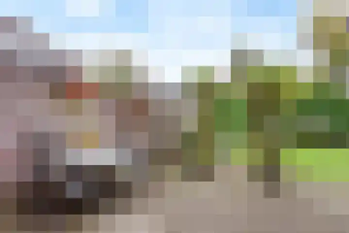 Anemoon 16 Nijverdal thumbnail 14
