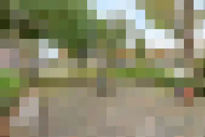 Anemoon 16 Nijverdal thumbnail 16
