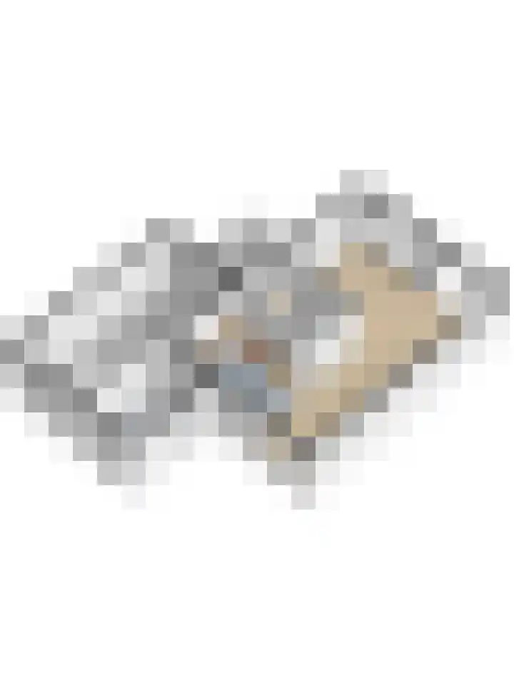 Anemoon 16 Nijverdal thumbnail 18