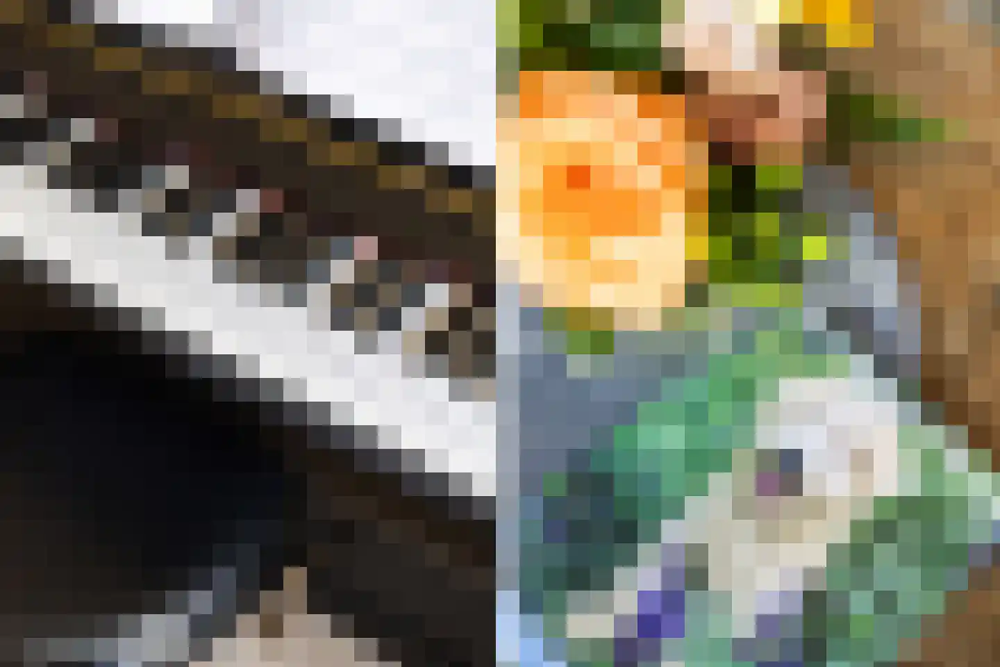 Anemoon 18 Nijverdal thumbnail 12