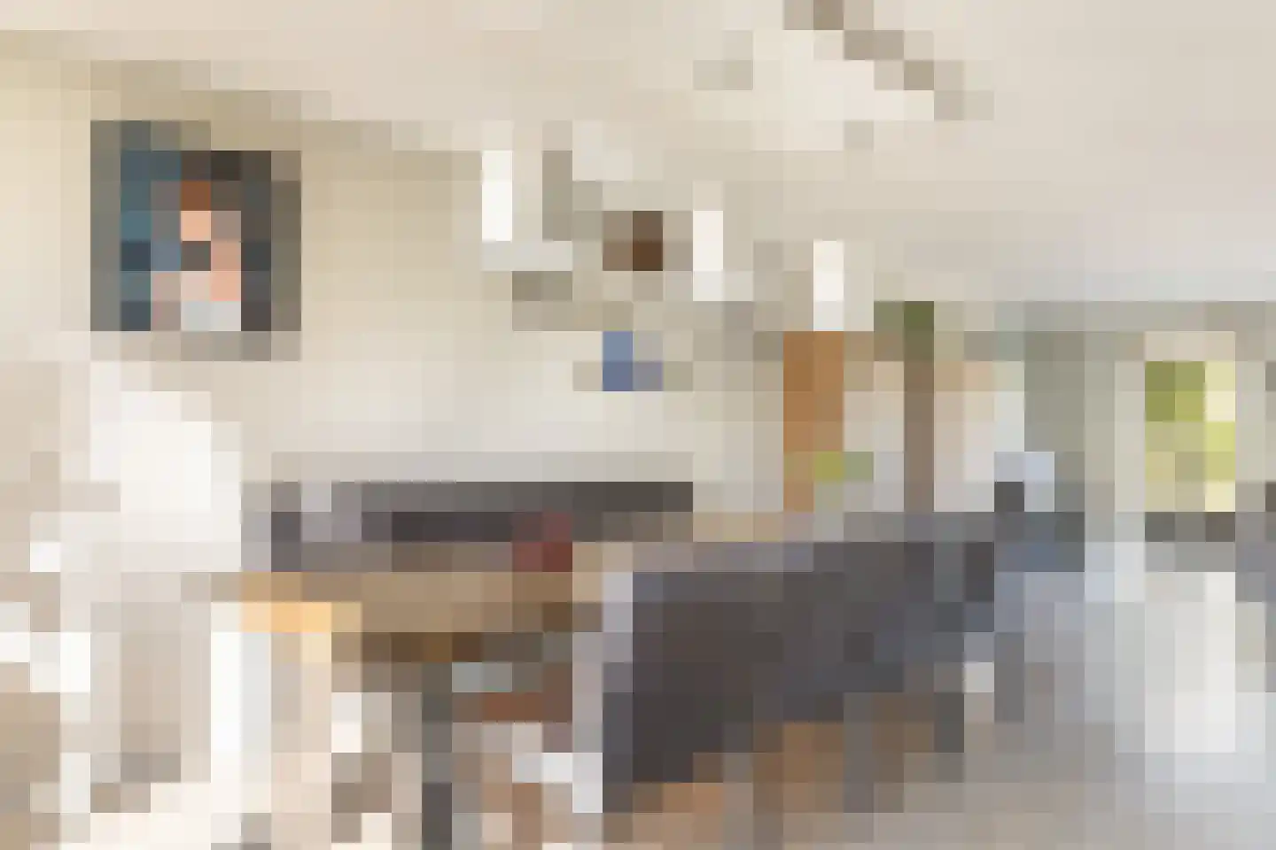 Anemoon 18 Nijverdal thumbnail 13