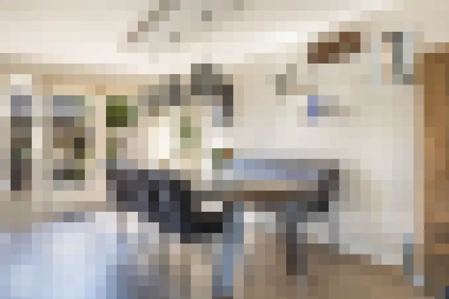 Anemoon 18 Nijverdal thumbnail 14