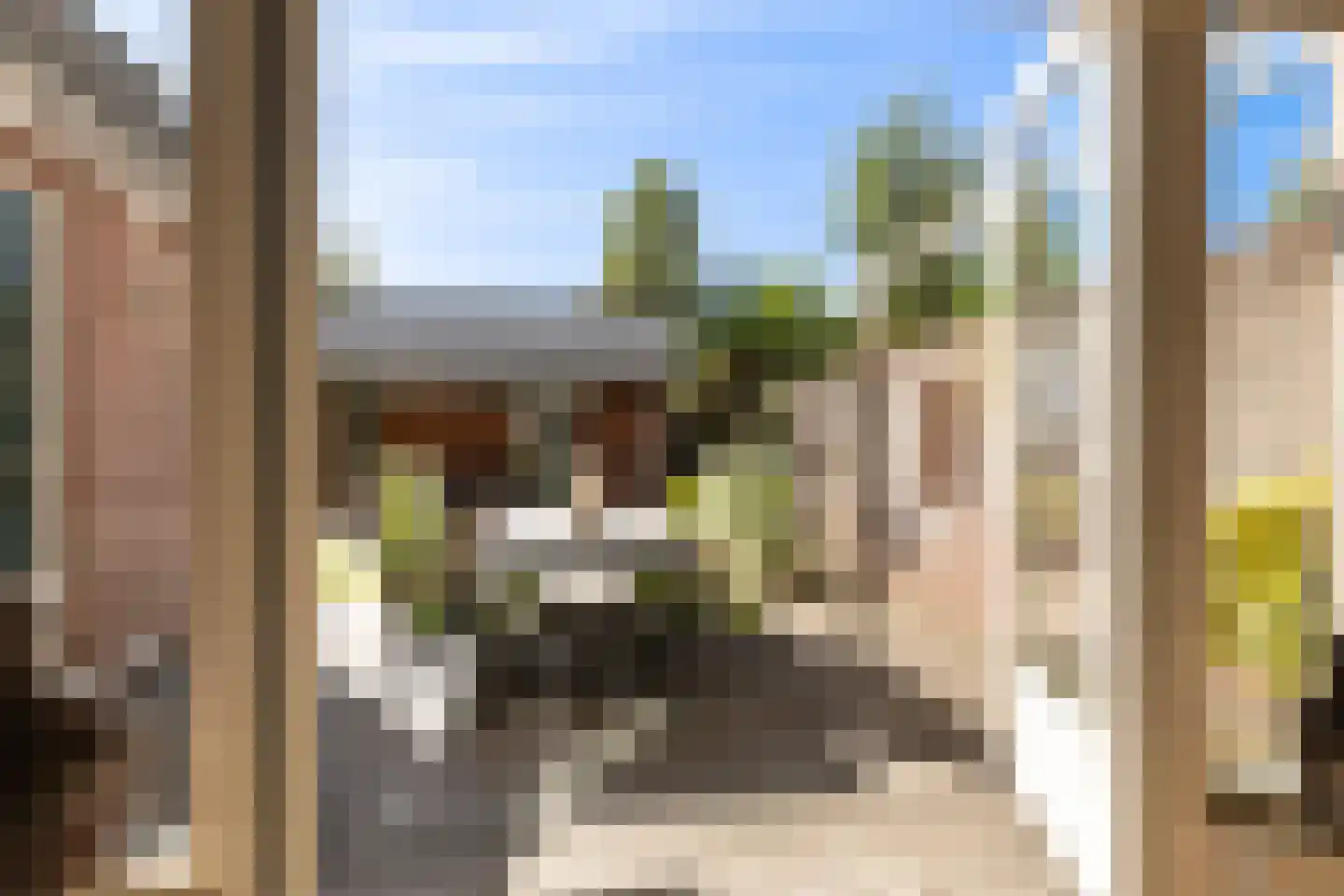 Anemoon 18 Nijverdal thumbnail 16