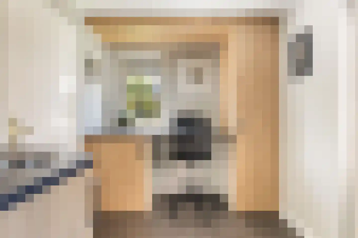 Anemoon 18 Nijverdal thumbnail 20