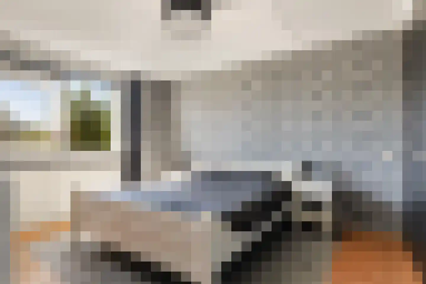 Anemoon 18 Nijverdal thumbnail 22