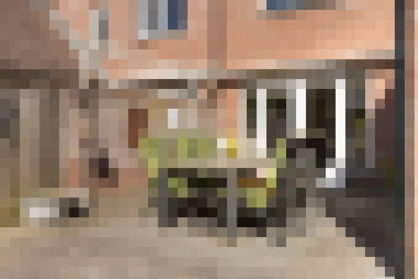 Anemoon 18 Nijverdal thumbnail 38