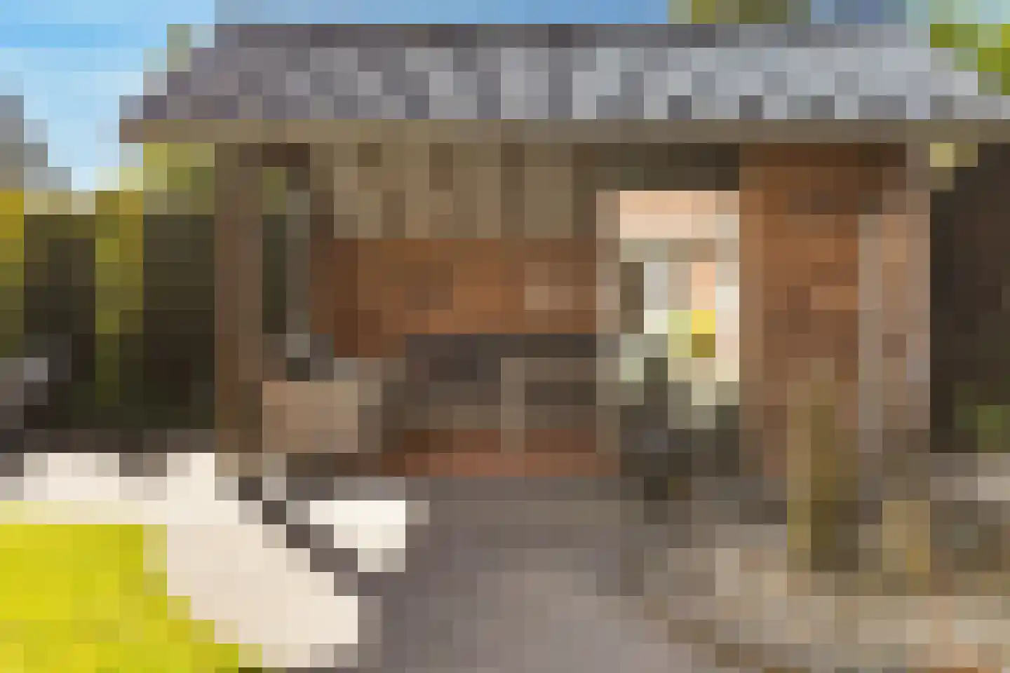 Anemoon 18 Nijverdal thumbnail 39