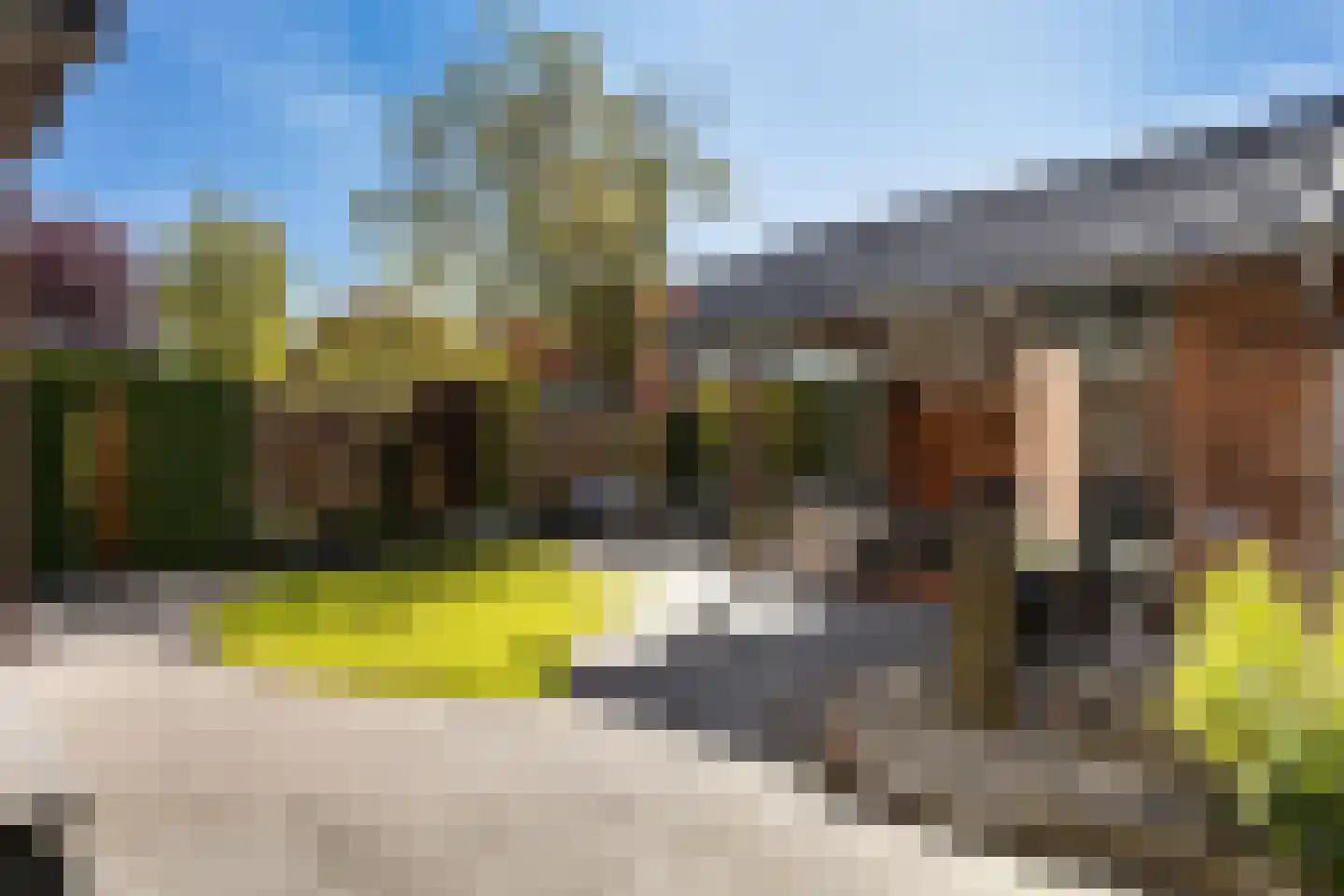 Anemoon 18 Nijverdal thumbnail 4