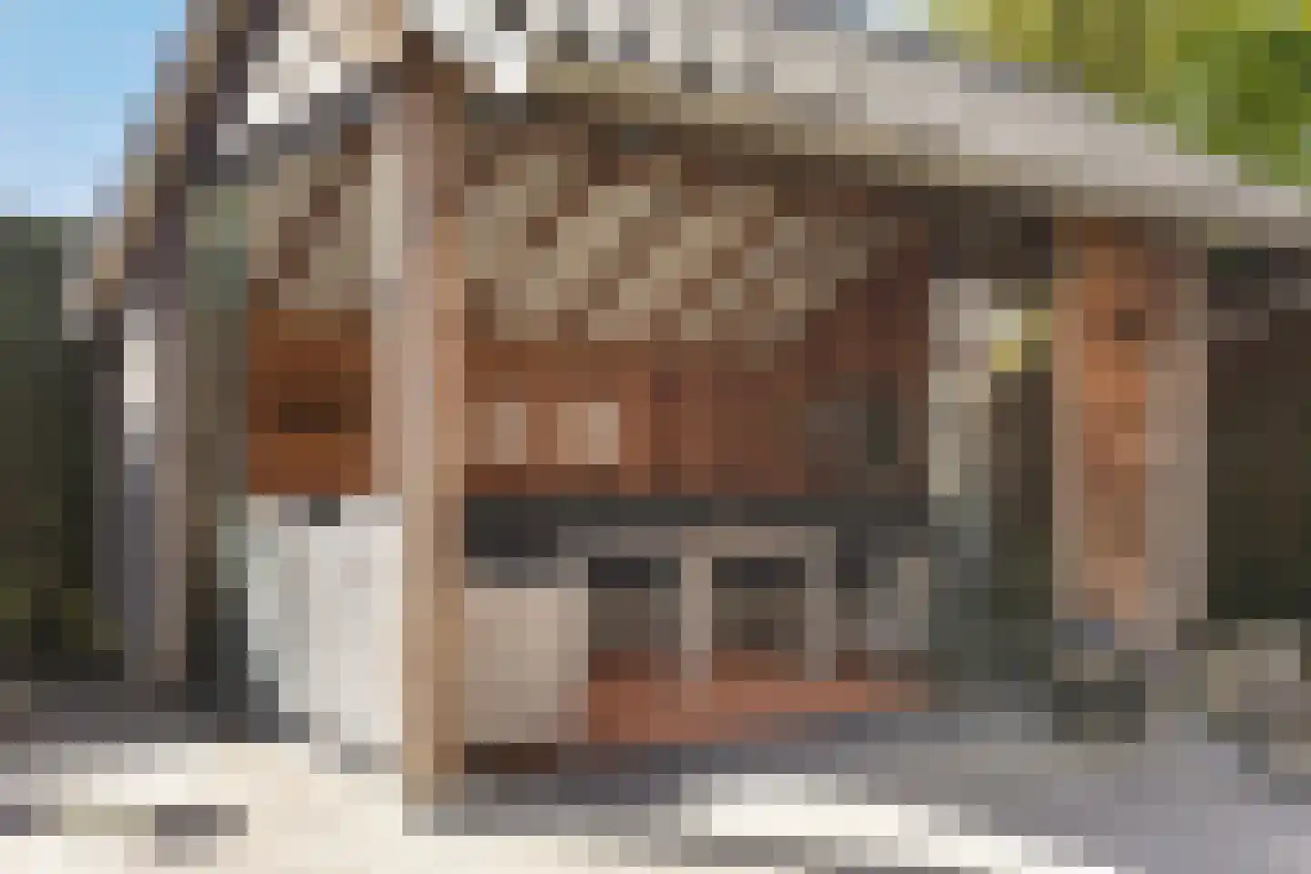 Anemoon 18 Nijverdal thumbnail 40