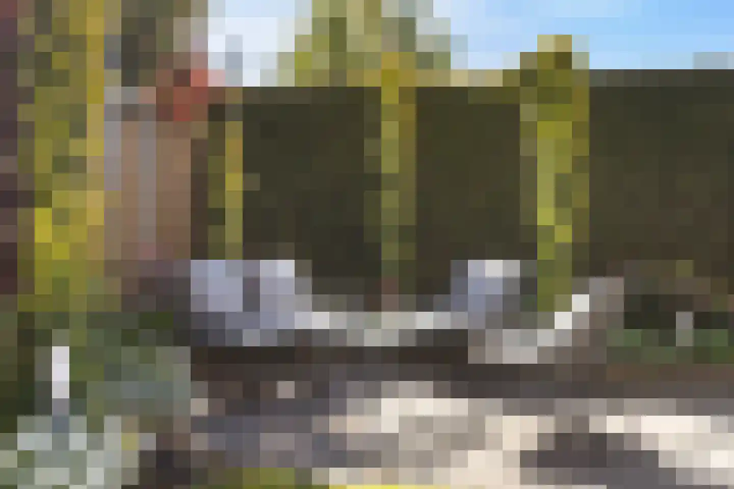Anemoon 18 Nijverdal thumbnail 45