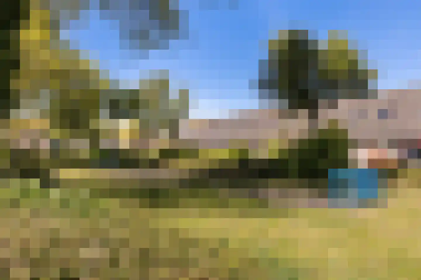 Anemoon 18 Nijverdal thumbnail 5
