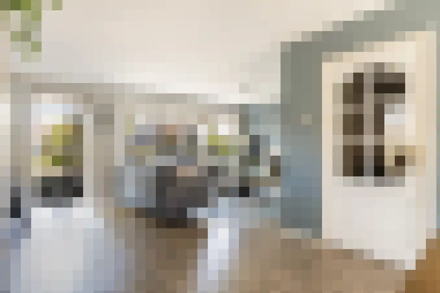 Anemoon 18 Nijverdal thumbnail 8