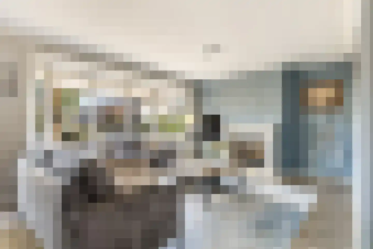 Anemoon 18 Nijverdal thumbnail 9