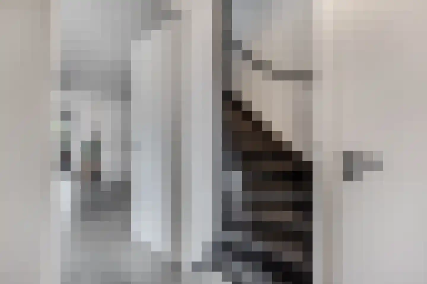 Anemoon 19 Ens thumbnail 17