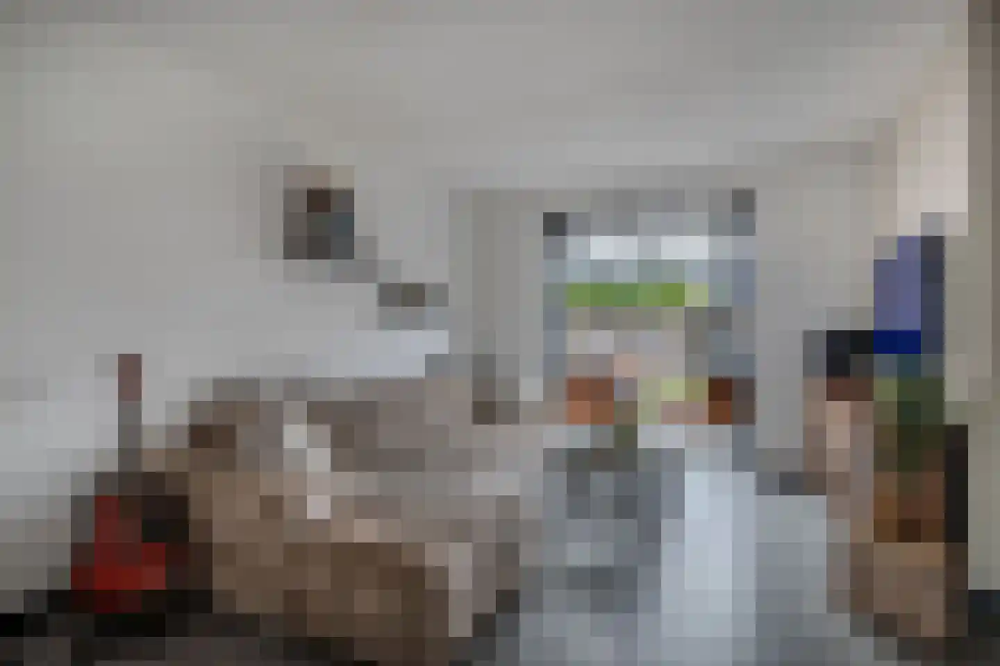Anemoon 19 Ens thumbnail 19