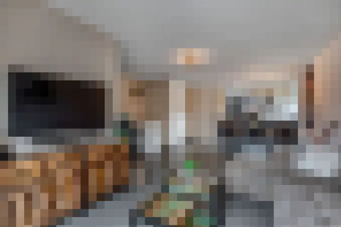 Anemoon 19 Ens thumbnail 21