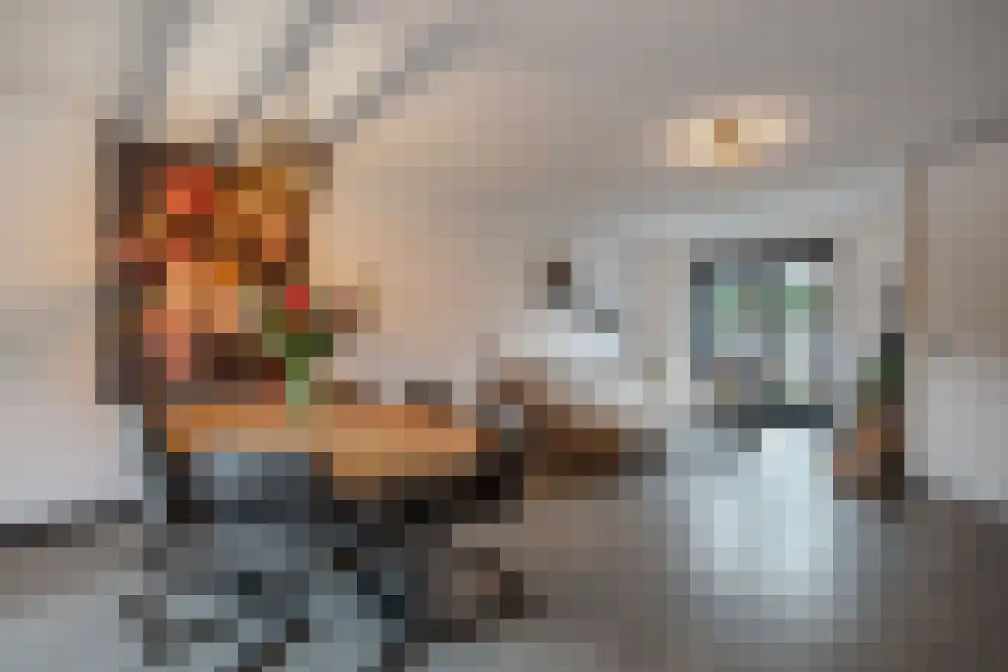 Anemoon 19 Ens thumbnail 22