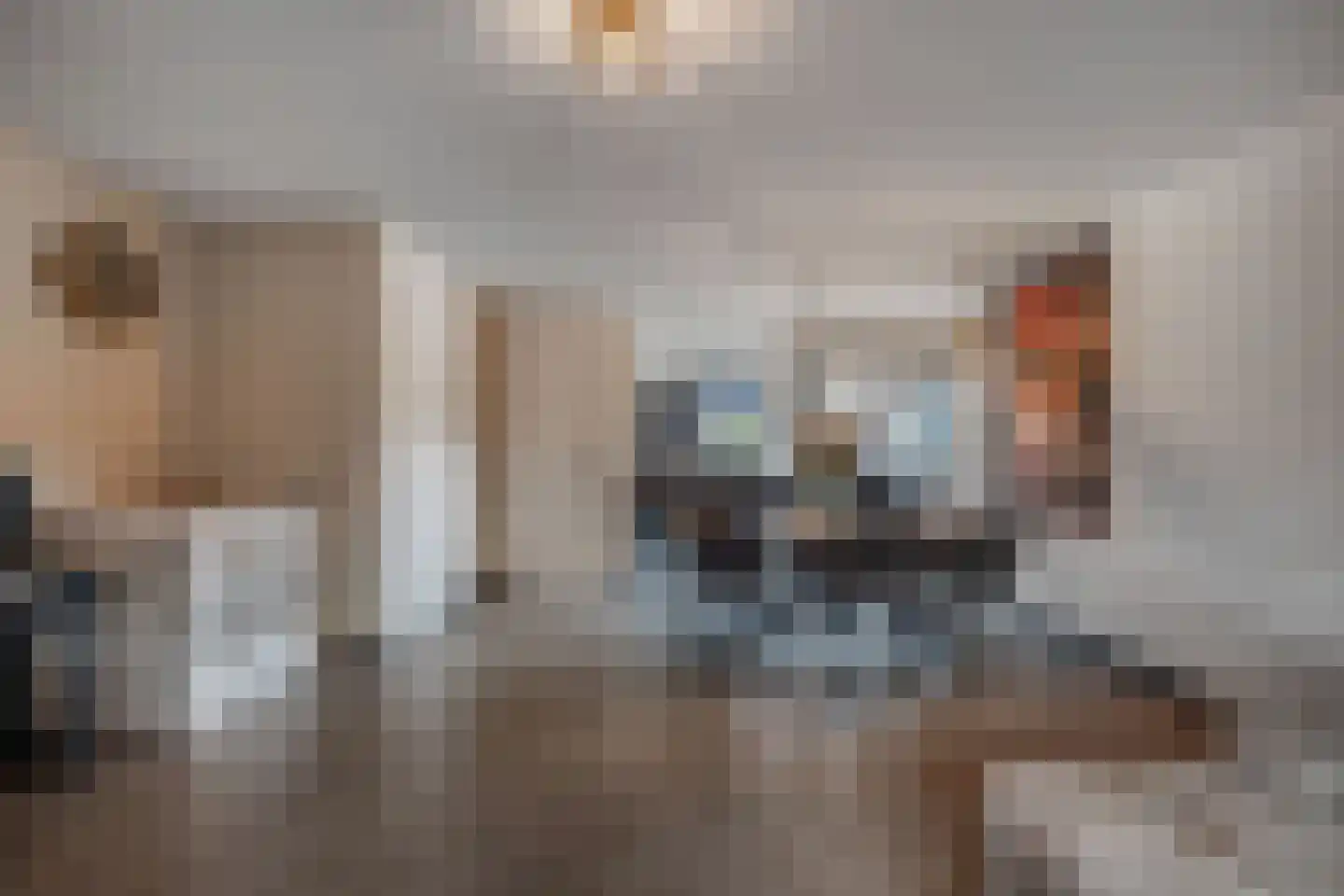 Anemoon 19 Ens thumbnail 24