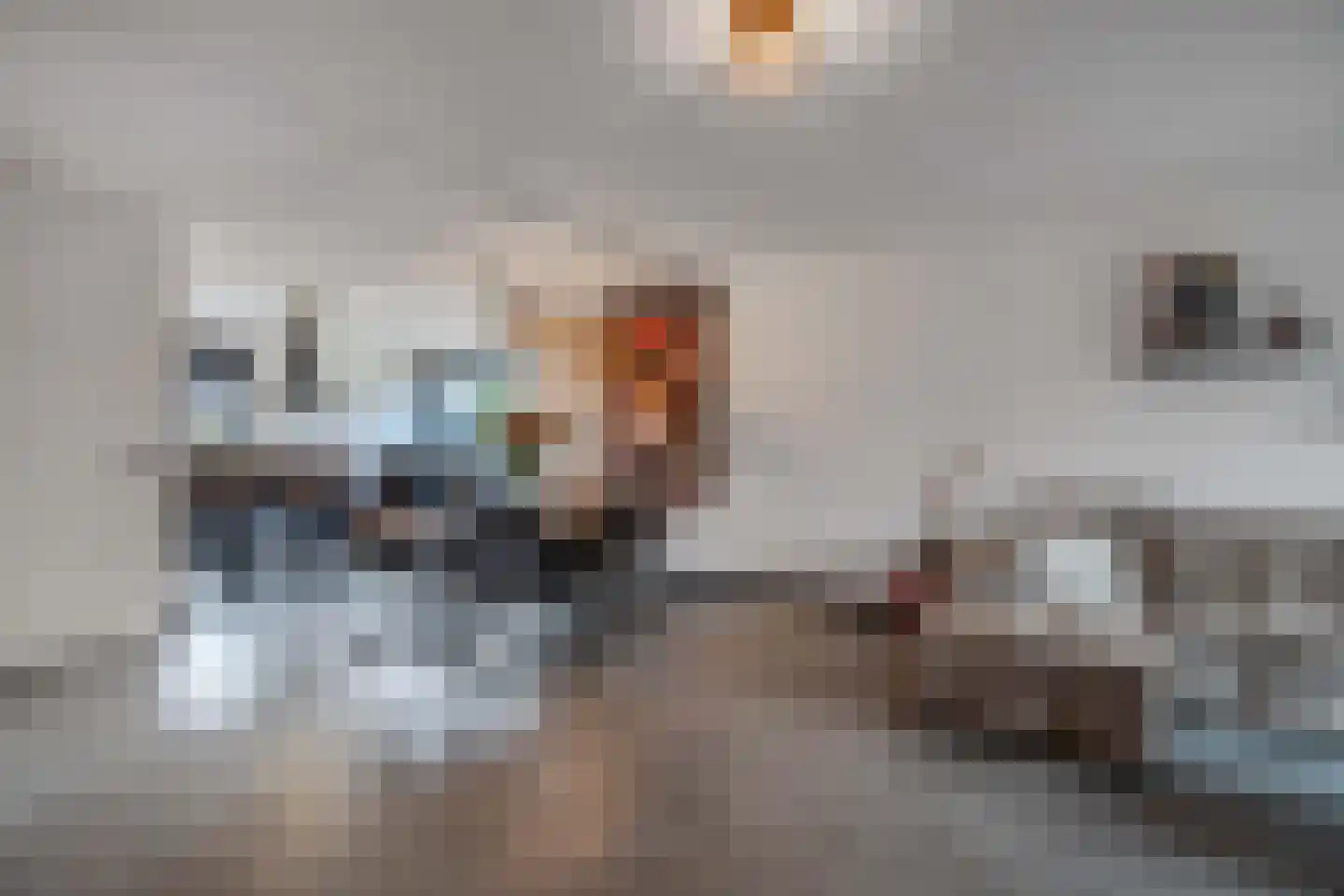 Anemoon 19 Ens thumbnail 25